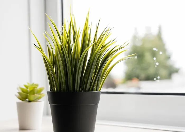 Guestready - Japandi-chic In بورتو