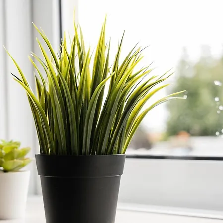 Guestready - Japandi-chic In Porto